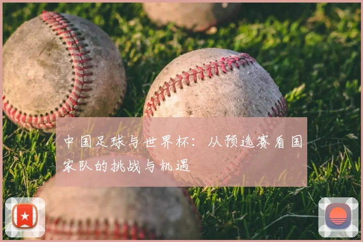 中国足球与世界杯：从预选赛看国家队的挑战与机遇
