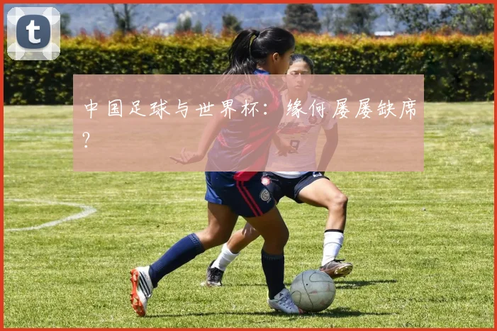 中国足球与世界杯：缘何屡屡缺席？