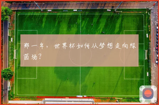 那一年，世界杯如何从梦想走向绿茵场？