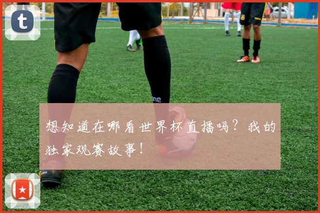 想知道在哪看世界杯直播吗？我的独家观赛故事！